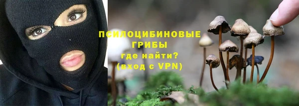 дживик Алексин