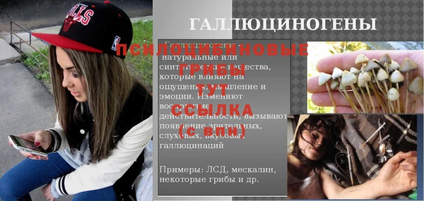 дживик Алексин