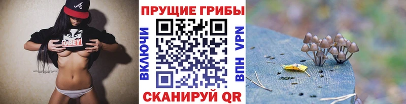 Псилоцибиновые грибы прущие грибы  Всеволожск 